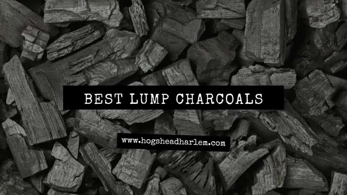 Best Lump Charcoals