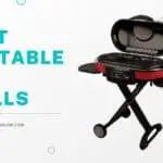 The 8 Best Portable Gas Grills for 2022