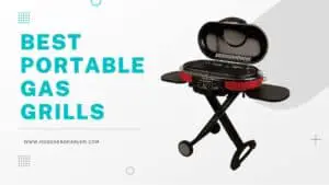 The 8 Best Portable Gas Grills for 2022