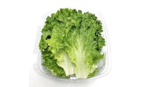 Green Leaf Lettuce