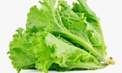 Iceberg Lettuce