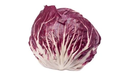 Radicchio Lettuce