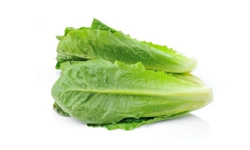 Romaine lettuce