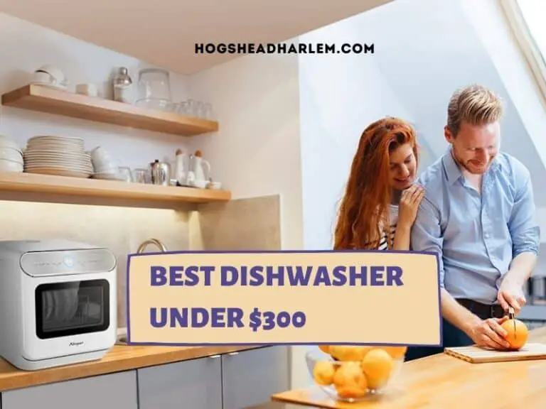 Best Dishwasher Under $300: Top 5 Picks for 2022