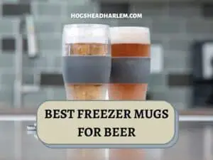 Top 5 Best Freezer Mugs For Beer in 2022 Reviews