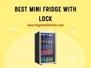 The 7 Best Mini Fridge With Lock for 2022