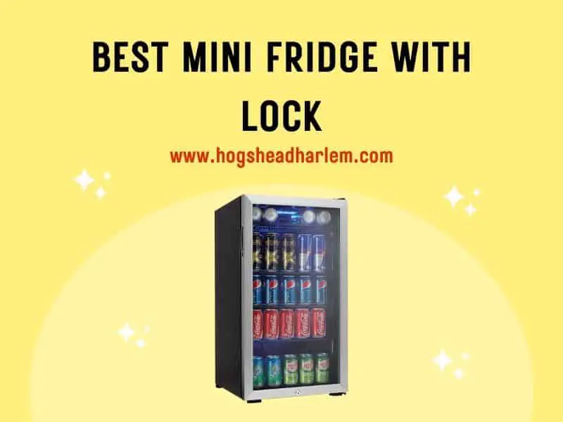 Best Mini Fridge With Lock
