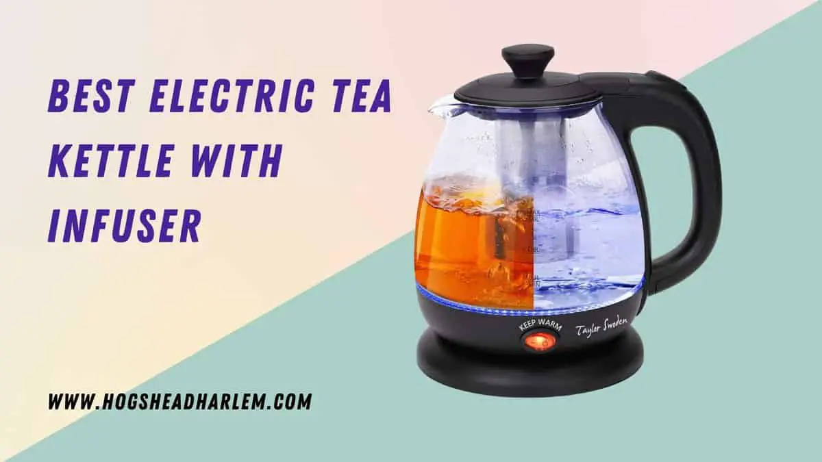 Best Electric Tea Kettle With Infuser