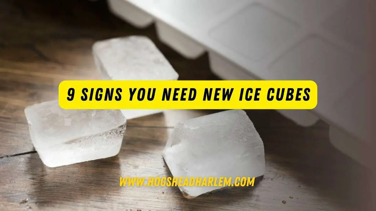 Signs You Need New Ice Cubes