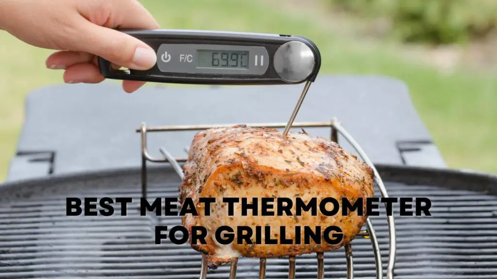 Best Meat Thermometer for Grilling
