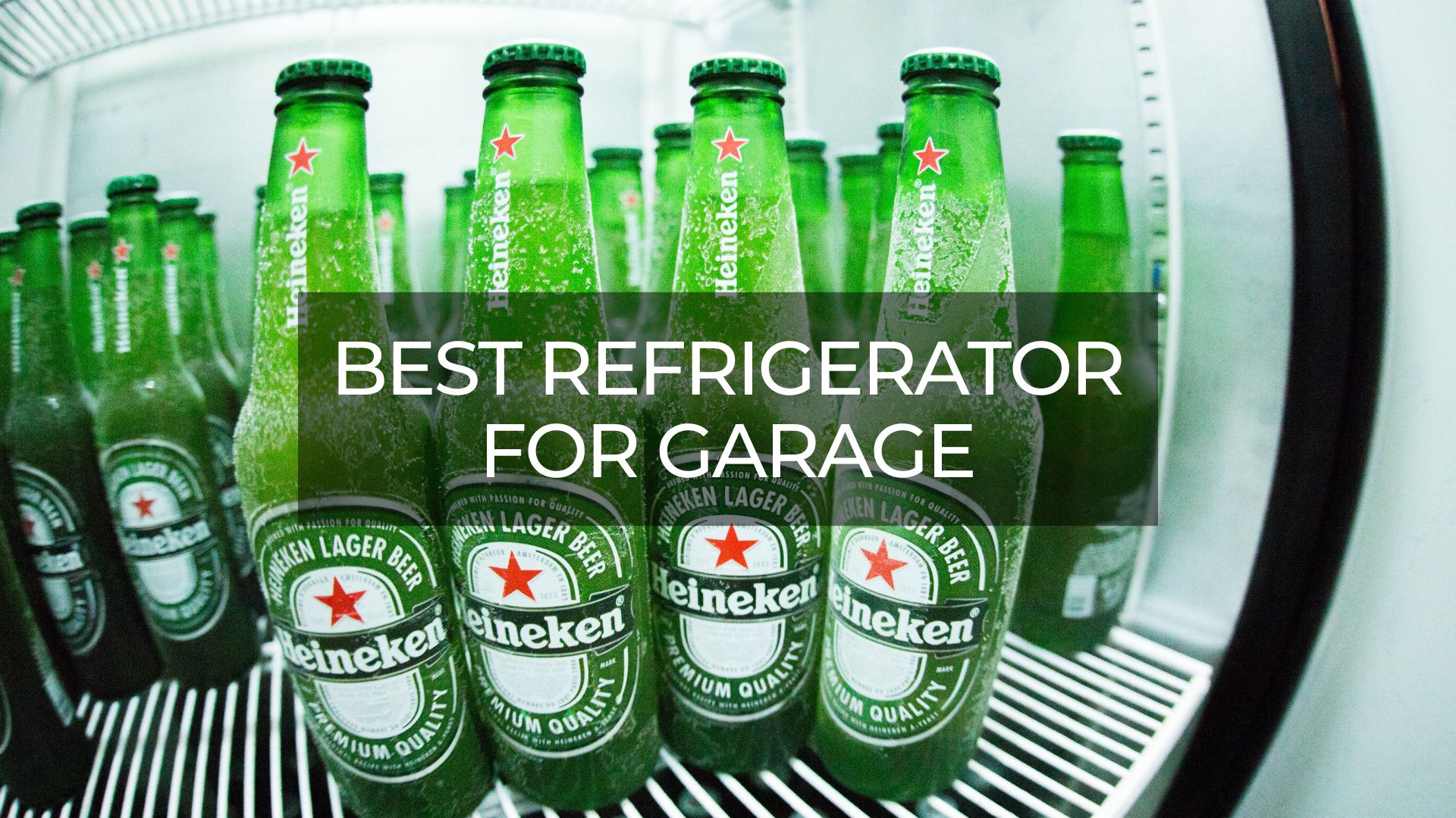 Best Refrigerator For Garage 2023 Reviews & Ultimate Guides